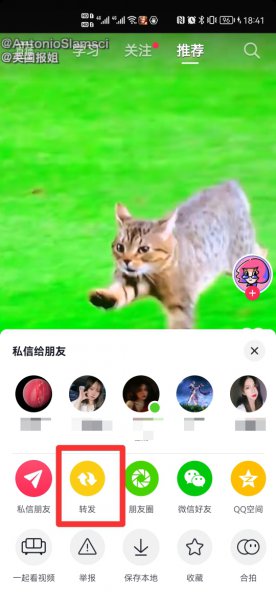 抖音没有转发功能怎么回事