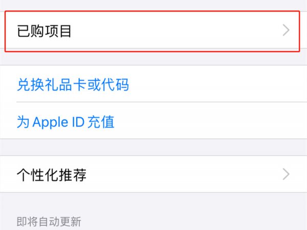 苹果消费记录在哪看