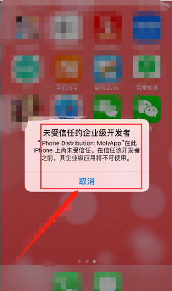 苹果12支持微信分身吗