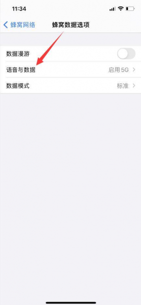 iphone12关闭5g开关
