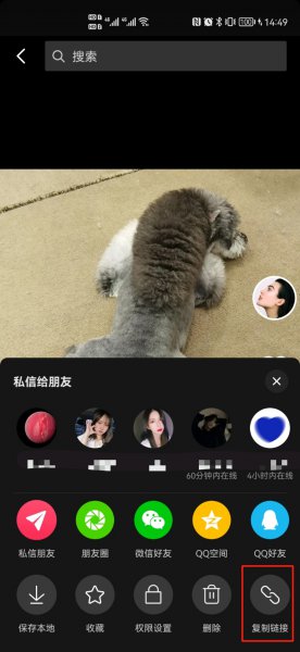 抖音拿图怎么去水印