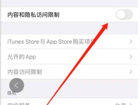 苹果手机怎么设置青少年模式