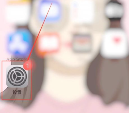 苹果卸载软件在哪里