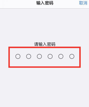 苹果手机有指纹锁吗