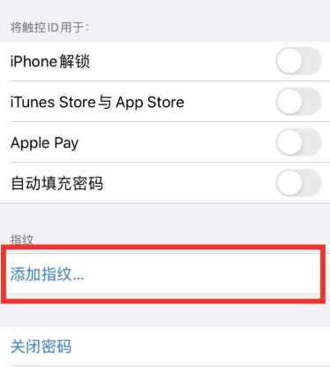 苹果手机有指纹锁吗