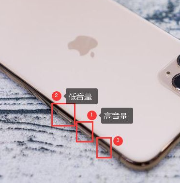 xr开不了机 一直显示白苹果