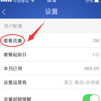 苹果手机怎么设置每日流量