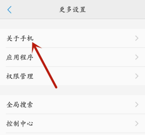 vivo手机开发者模式怎么开