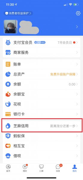 芝麻粒怎样才能一天获得30个