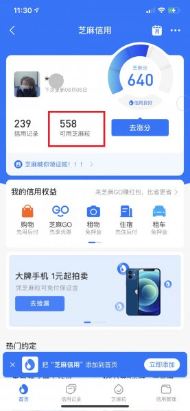 芝麻粒怎样才能一天获得30个