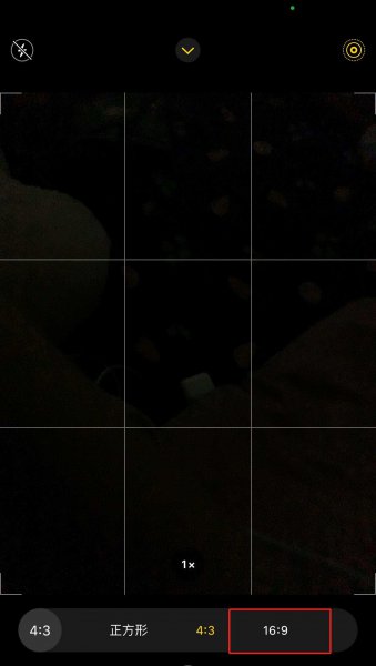 iphonex怎么调16比9