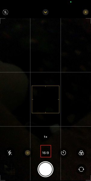iphonex怎么调16比9