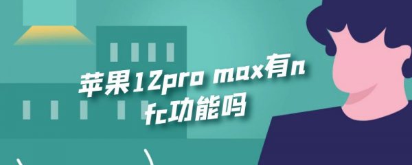 苹果12pro max有nfc功能吗
