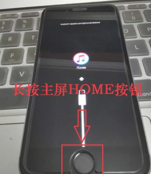 苹果手机白苹果开不了机怎么办