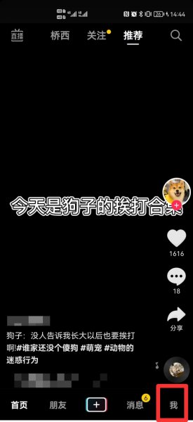 抖音头像上的太阳挂件是什么意思