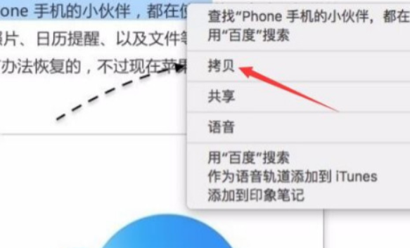 苹果电脑复制粘贴不了