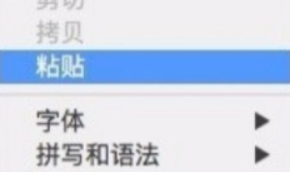苹果电脑复制粘贴不了