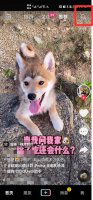 把抖音好友拉黑了对方还能看到我动态不 抖音对方把我拉黑了我还能看到他的