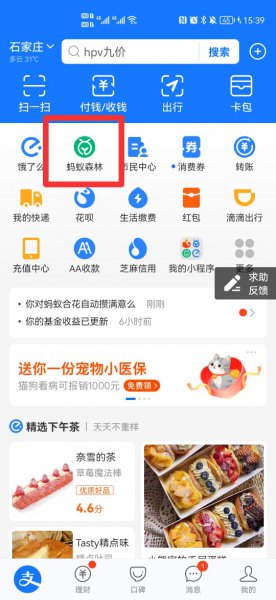 蚂蚁森林偷能量有表情怎么设置