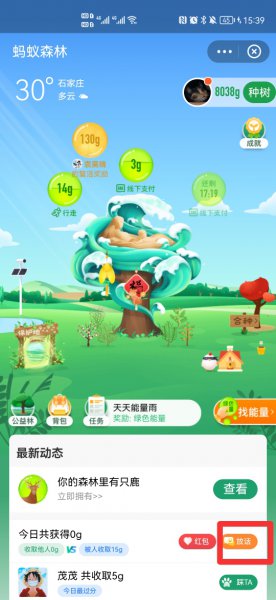 蚂蚁森林偷能量有表情怎么设置