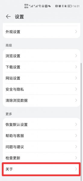 浏览器版本在哪看