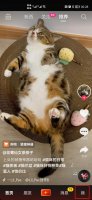 抖音怎么退出日常模式 抖音日常模式怎么取消