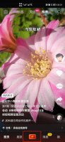 抖音怎么k歌 抖音怎么k歌直播