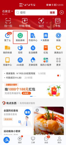 蚂蚁森林怎么切换主树