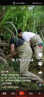 抖音怎么后半截加音乐 抖音怎么截后半段音乐