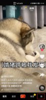 抖音上的收货地址怎么修改 抖音极速版收货地址怎么修改
