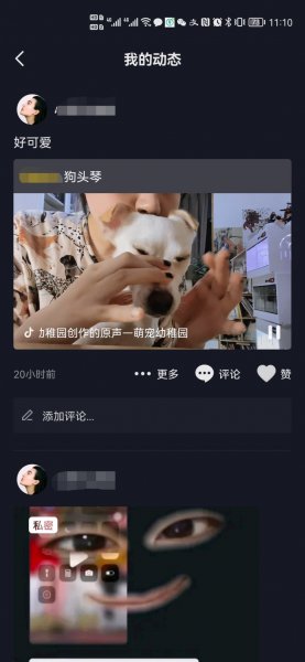 抖音看不到转发的作品
