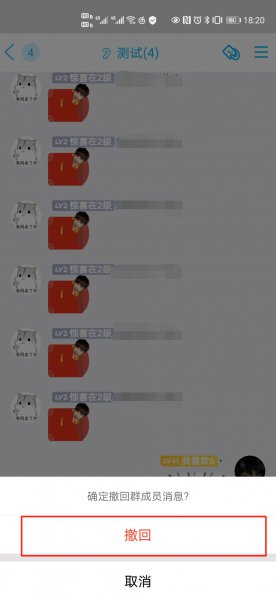 群主如何删除群里的聊天记录不让大家看见