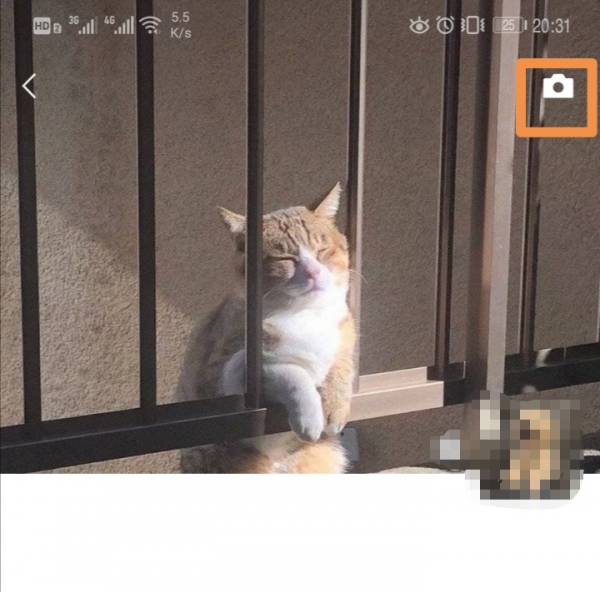 朋友圈全文显示怎么弄