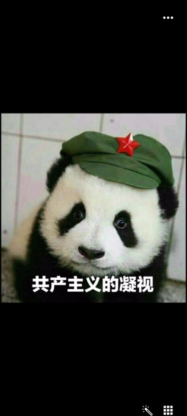 手机qq如何提取图片中的文字