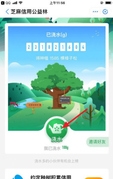 蚂蚁森林怎么换彩色树