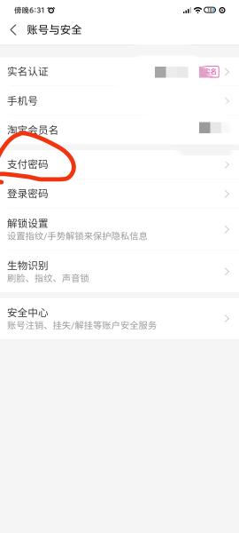 忘记支付宝支付密码怎么办