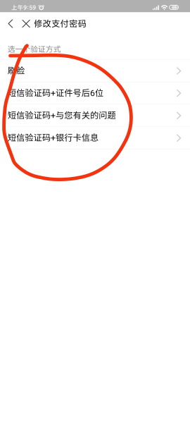 忘记支付宝支付密码怎么办