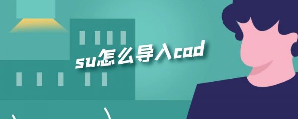 su怎么导入cad