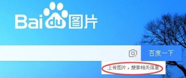 找照片原图怎么找