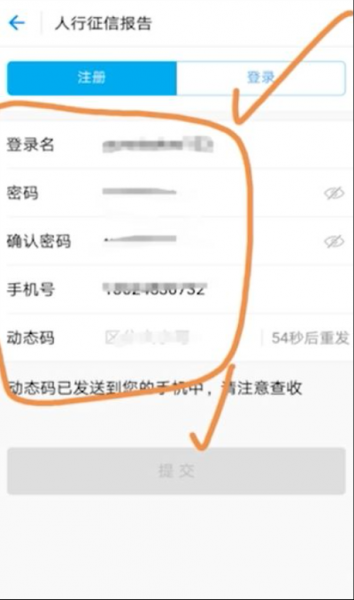 2020支付宝查征信不见了