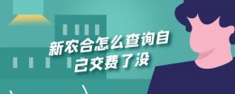 新农合怎么查询自己交费了没 怎样查询新农合有没有交费成功
