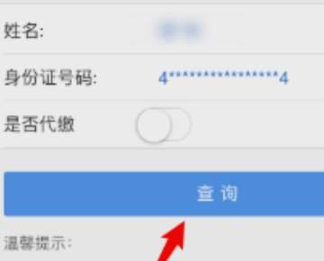 新农合怎么查询自己交费了没