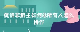 微信群里非群主怎么@所有人 微信非群主如何@所有人怎么操作
