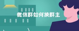 微信群如何换群主 微信群如何换群主头像