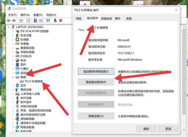 电脑打字没反应按哪个键