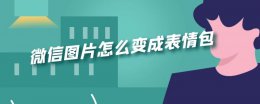 微信图片怎么变成表情包 微信图片怎么变成表情包加文字