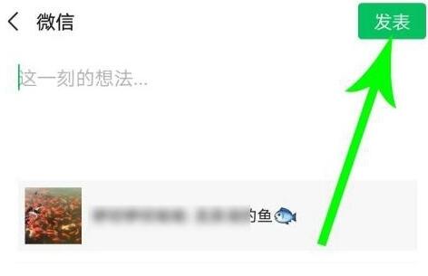 微信视频号发微信朋友圈能看到吗介绍