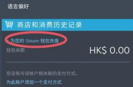 steam阿根廷付款方法 steam阿根廷怎么付款