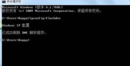 flushall怎么用 flushdns有什么用详情介绍
