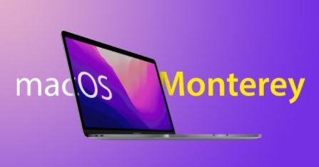 monterey使用相关详细介绍